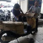 Gambar 61 PerusahaanMAXINDO JASA KIRIM MOTOR Transport Cargo di Kota Jakarta Barat JK