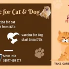Gambar 1 PerusahaanPAW PETHOUSE Pet Shops di Surabaya City JI