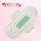 Gambar 1 PerusahaanROSELEE SANITARY NAPKIN MANUFACTURING COMPANY Machinery di Kota Jakarta Selatan JK