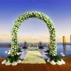 Gambar 5 PerusahaanTULIP FLORIST & DECORATION Florists di Kota Denpasar BA