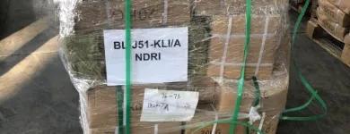 Gambar 13 PerusahaanPT.KAMARAYA LOGISTIK INDONESIA Importer & Exporters di Kota Surabaya JI